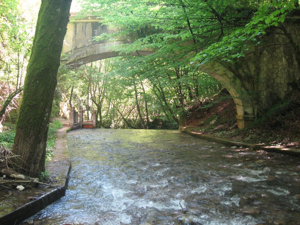 Parco Sogni D'oro * Montella